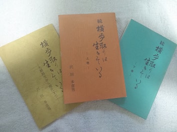 横歩取りは生きている 三部作は死んでいない 19年の今でも手に入る5つの方法 年11月販売終了 マイナー将棋ブログ